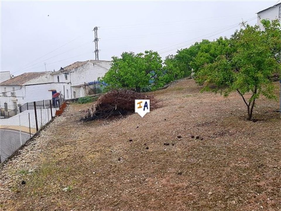 Byhus i Fuente Tojar, Cordoba - foto 3