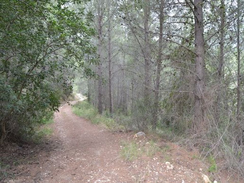 Terra a Beniarda, Alicante - foto 1
