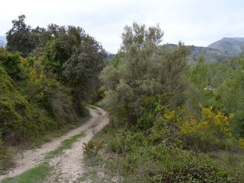 Terra a Beniarda, Alicante - foto 2