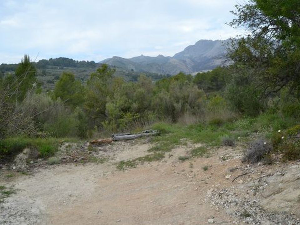 Terra a Beniarda, Alicante - foto 3