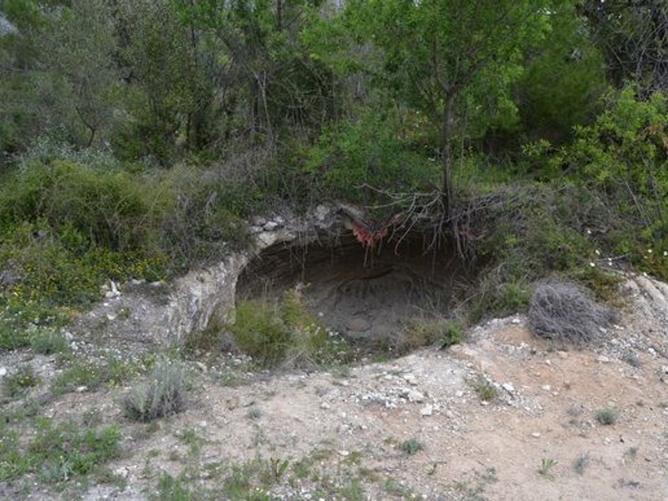 Terra a Beniarda, Alicante - foto 4