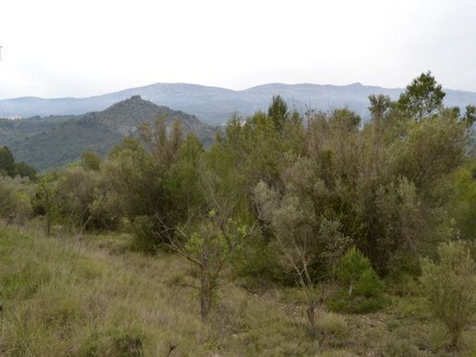 Terra a Beniarda, Alicante - foto 5