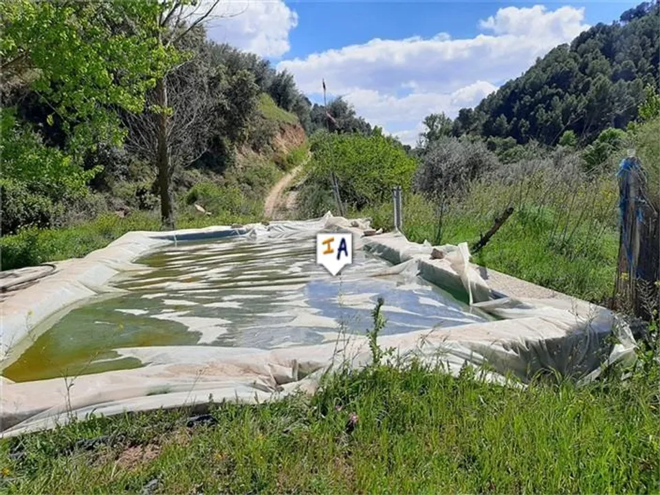 Tomt i Montefrio, Granada - bilde 2