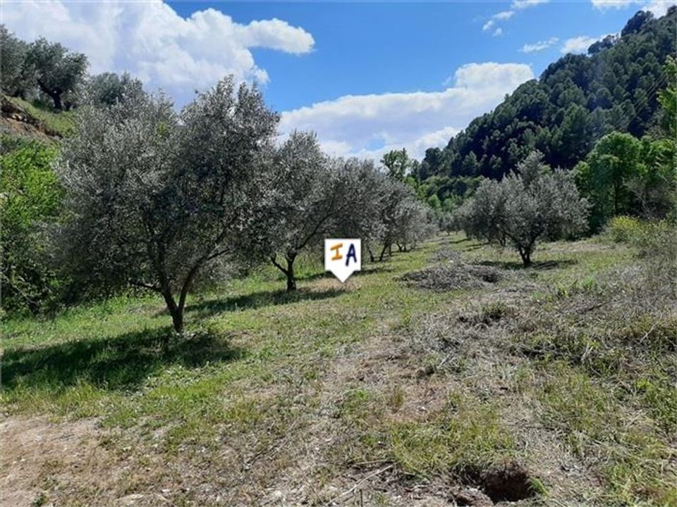 Tomt i Montefrio, Granada - bilde 3