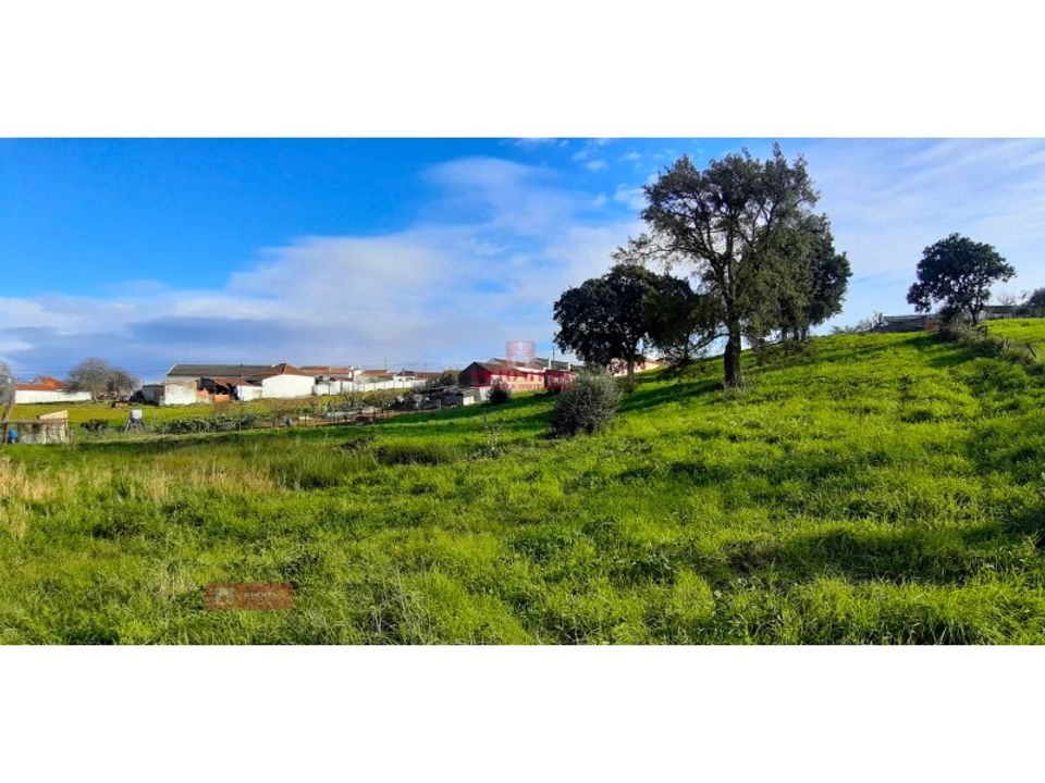 Helårsgrund i Asseiceira, Santarem - foto 1