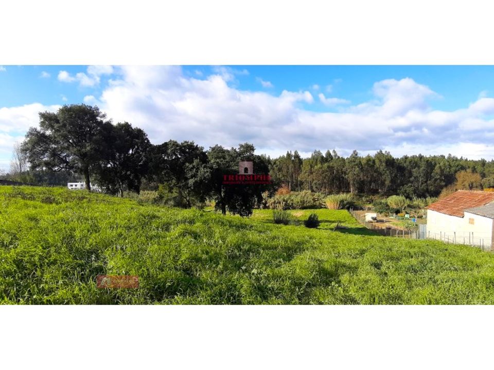 Helårsgrund i Asseiceira, Santarem - foto 2