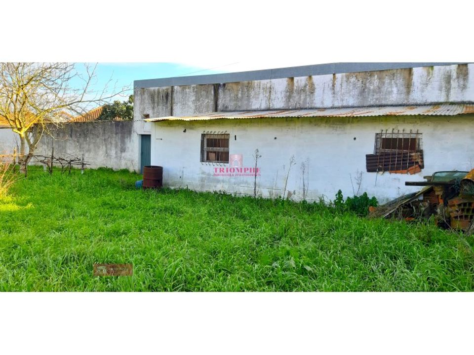 Helårsgrund i Asseiceira, Santarem - foto 3
