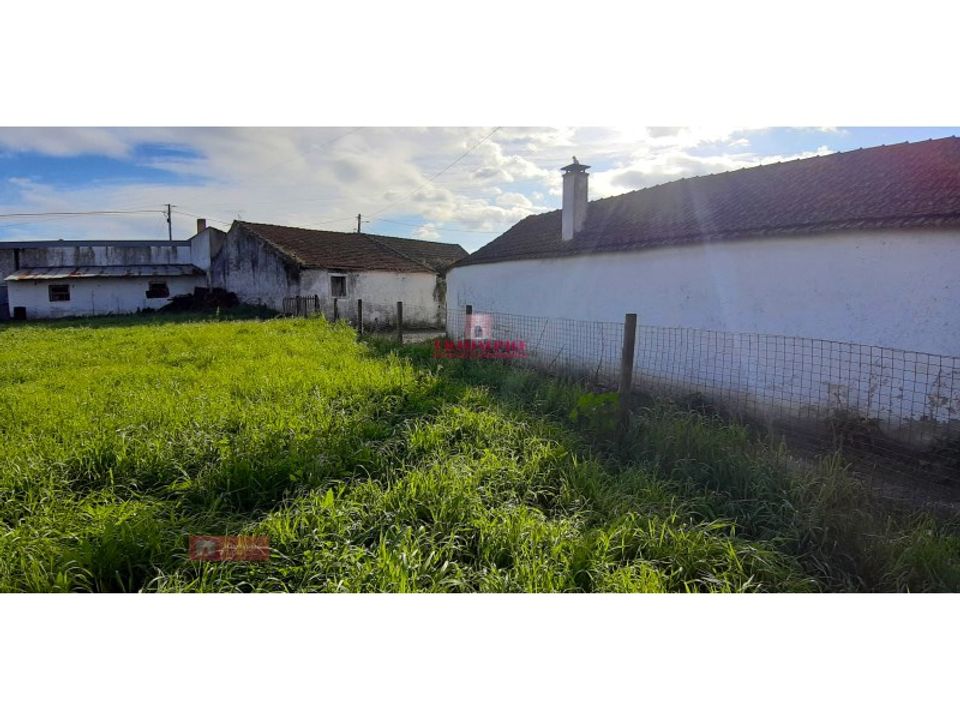 Helårsgrund i Asseiceira, Santarem - foto 5