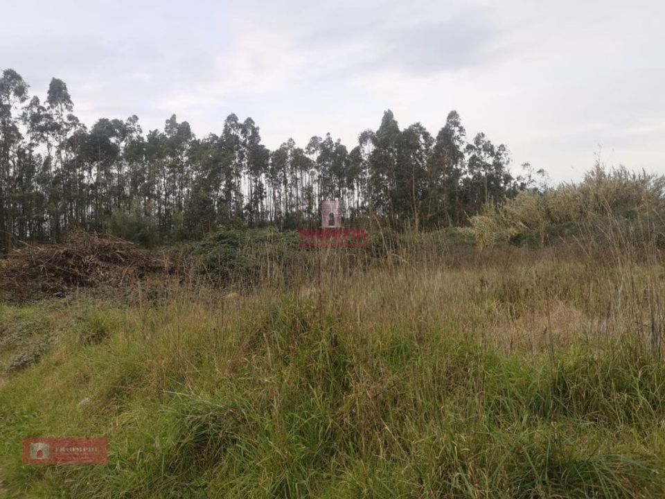 Helårsgrund i Oliveira de Azemeis, Aveiro - foto 1