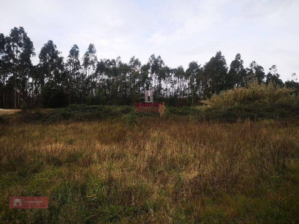 Helårsgrund i Oliveira de Azemeis, Aveiro - foto 2