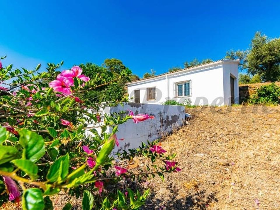 Finca i Arenas De Velez, Malaga - foto 1