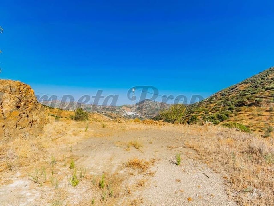 Finca i Arenas De Velez, Malaga - foto 4