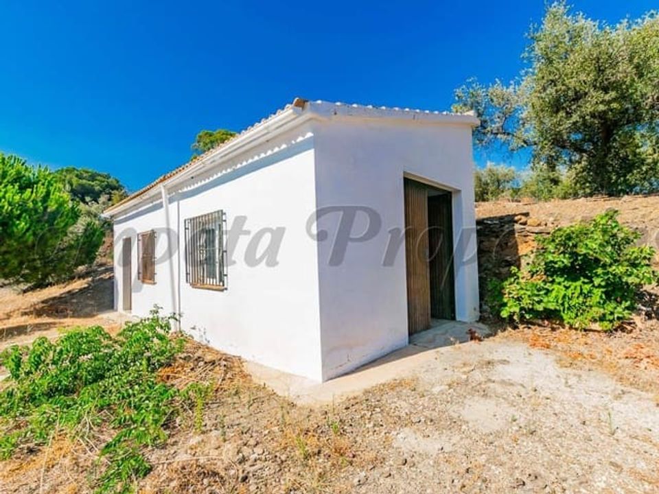 Finca i Arenas De Velez, Malaga - foto 5