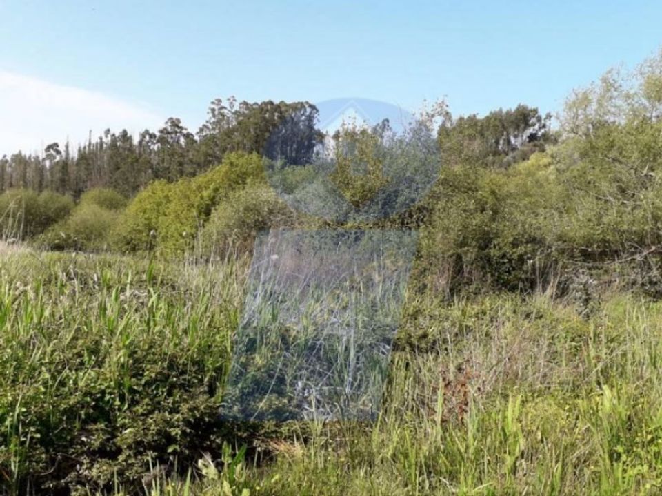Helårsgrund i Arouca, Aveiro - foto 2