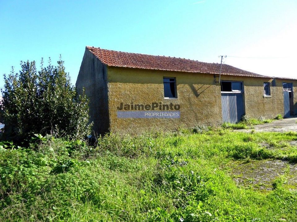Farm i Figueira da Foz, Coimbra - foto 1
