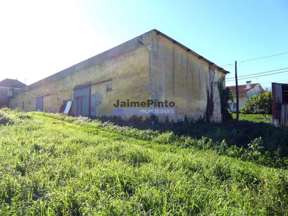 Farm i Figueira da Foz, Coimbra - foto 3