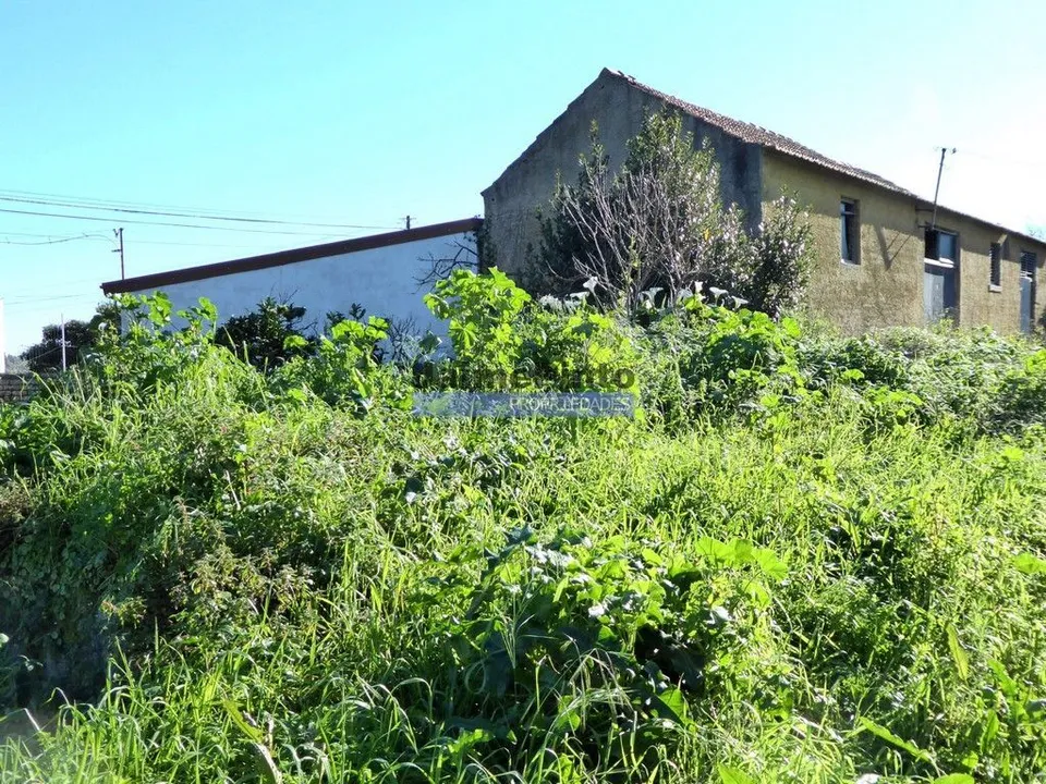 Farm i Figueira da Foz, Coimbra - foto 4