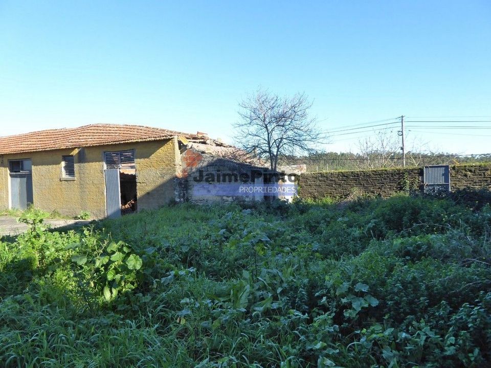 Farm i Figueira da Foz, Coimbra - foto 5