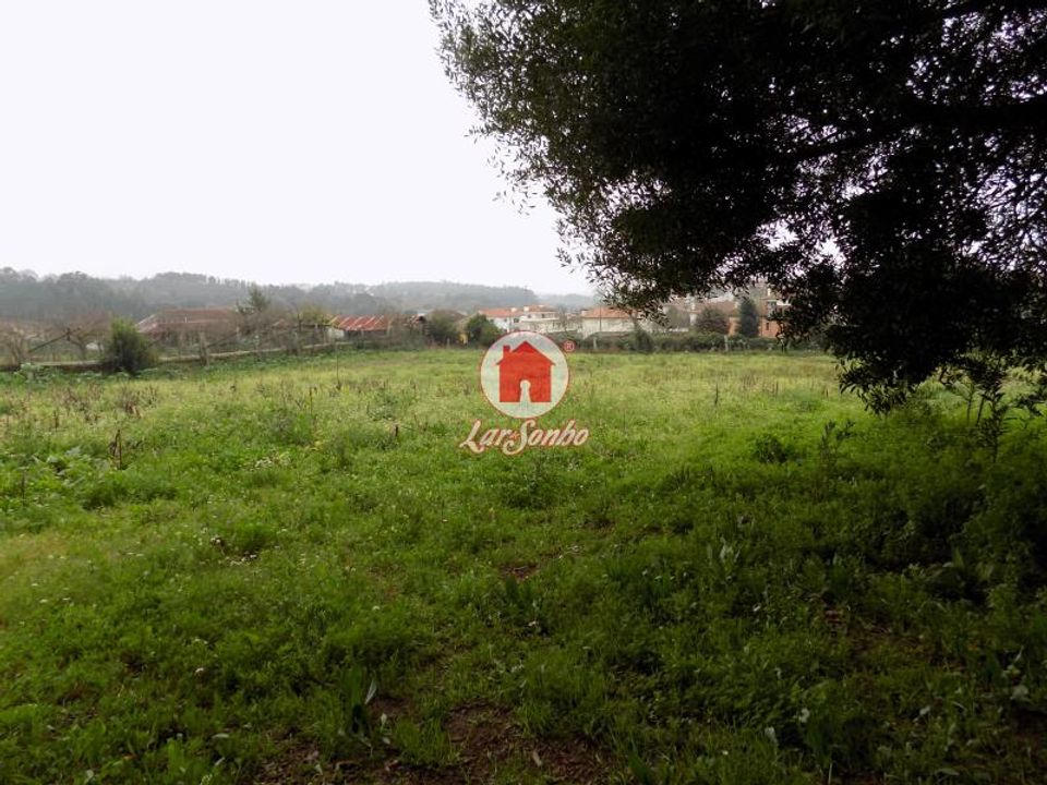 Farm i Vila Nova de Famalicao, Braga - foto 3