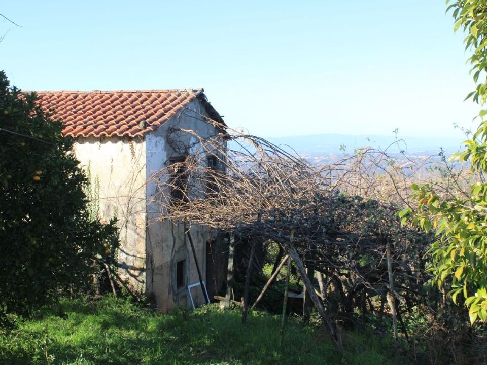 Helårsgrund i Arganil, Coimbra - foto 2