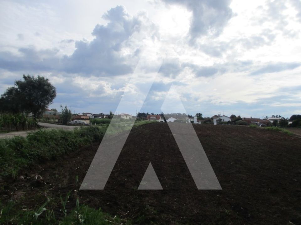 Helårsgrund i Oia, Aveiro - foto 2