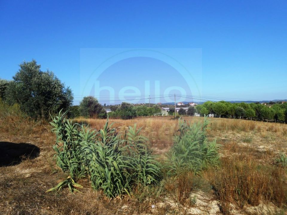Helårsgrund i Tomar, Santarem - foto 3
