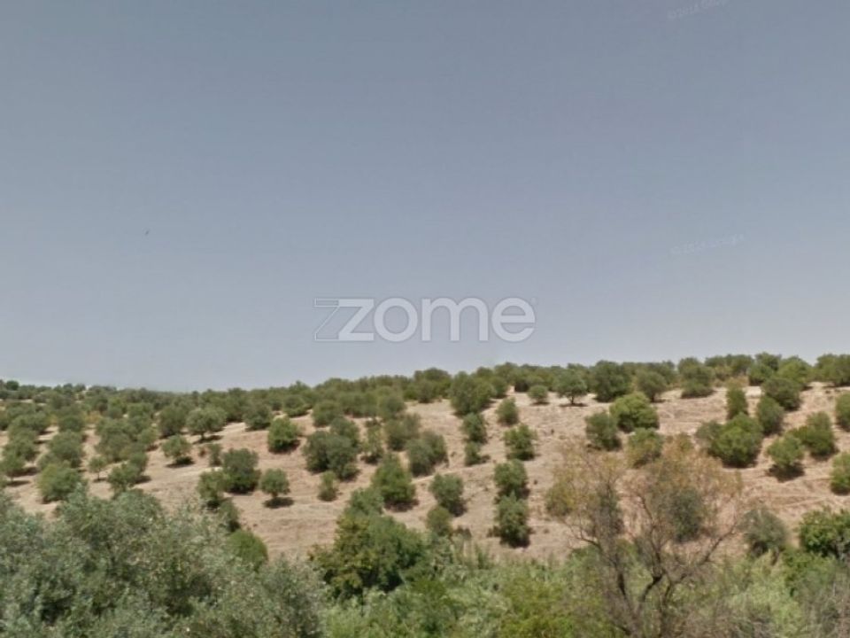 Helårsgrund i Moura, Beja - foto 4