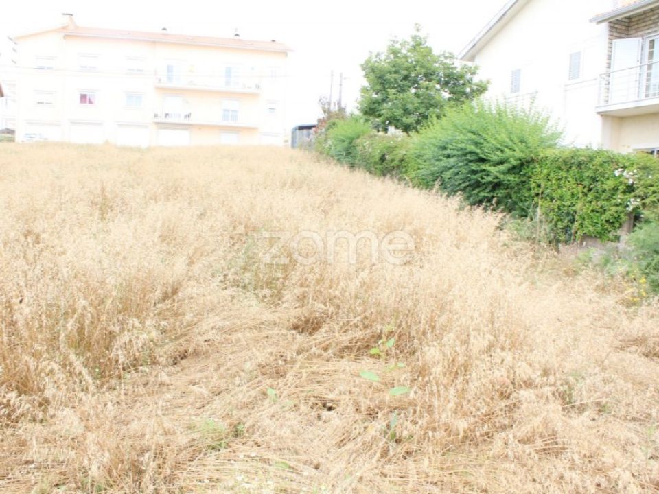 Helårsgrund i Figueira de Lorvao, Coimbra - foto 3