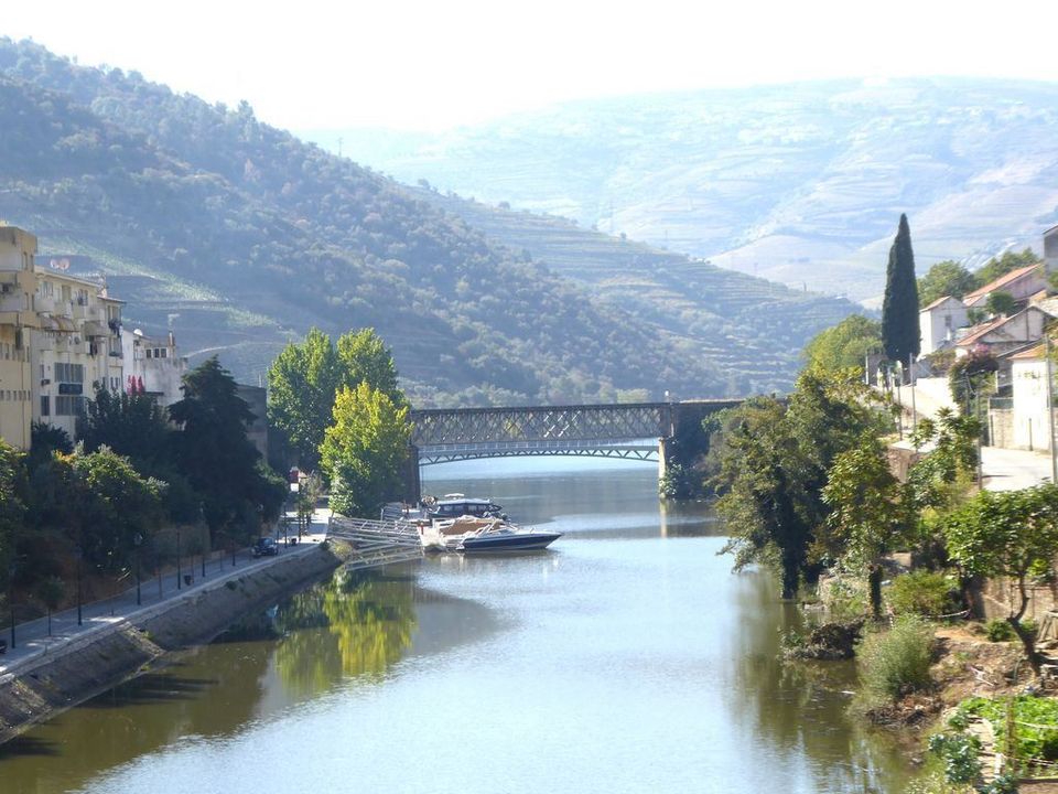 Farm i Alijo, Vila Real - foto 1