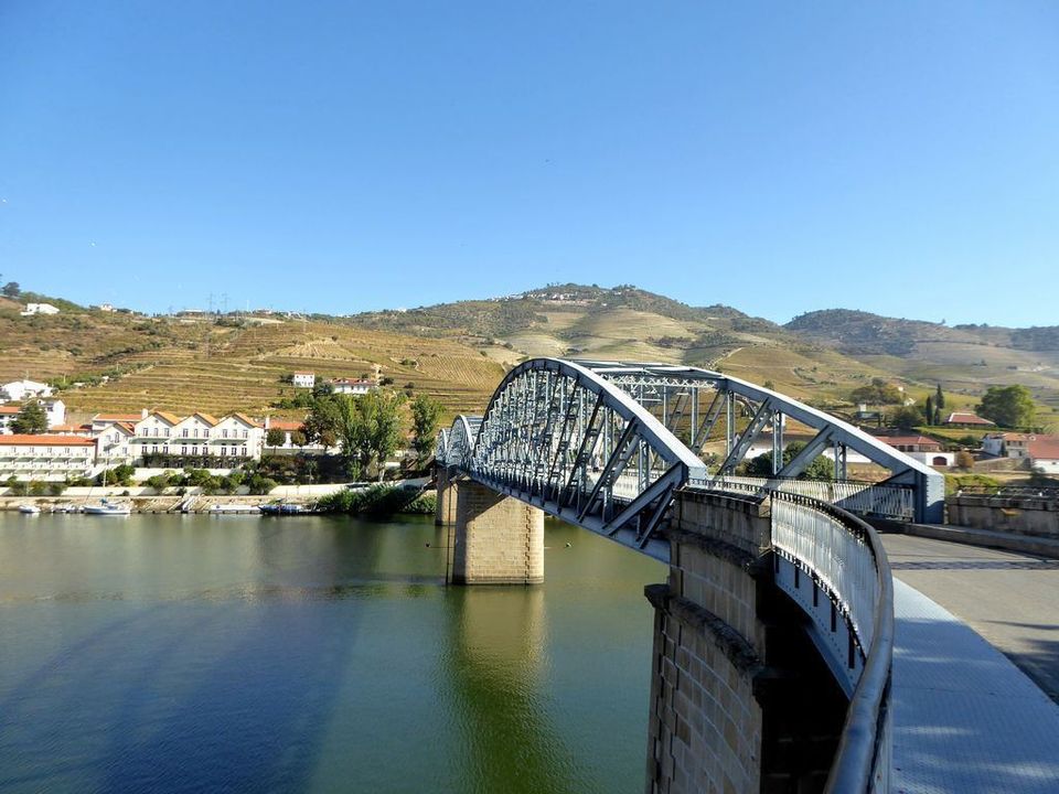 Farm i Alijo, Vila Real - foto 3