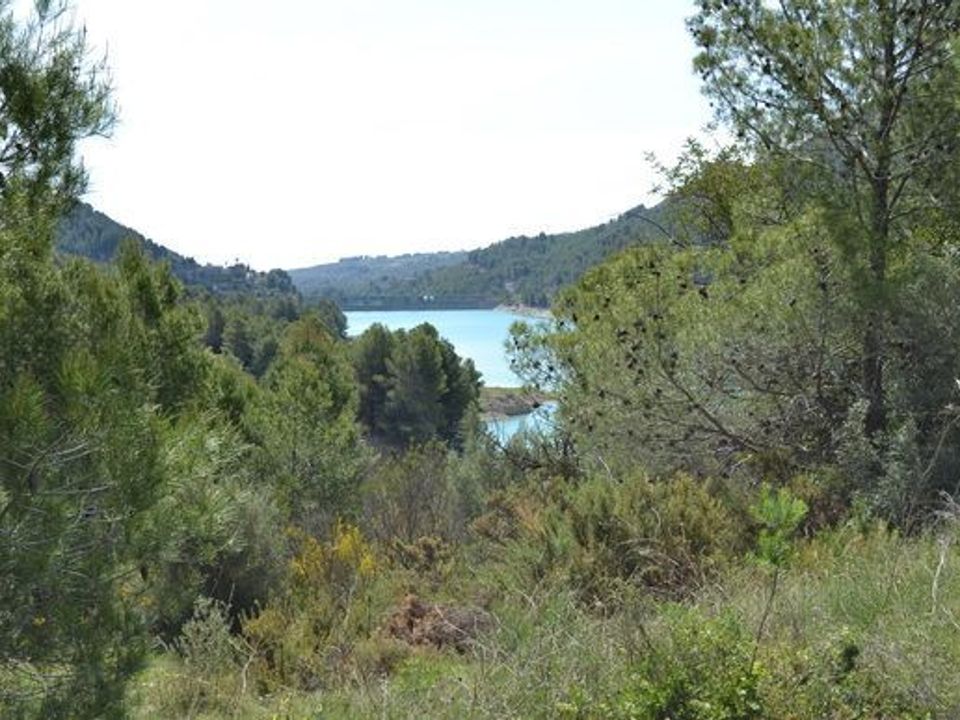 Terra a Beniarda, Alicante - foto 4