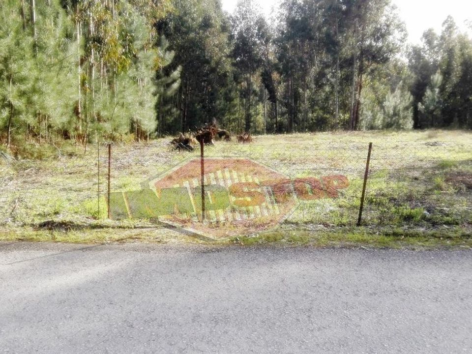 Helårsgrund i Oliveira do Bairro, Aveiro - foto 3
