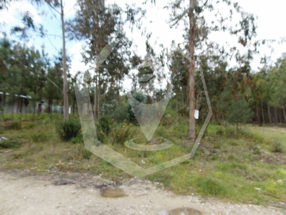Helårsgrund i Oliveira do Bairro, Aveiro - foto 3