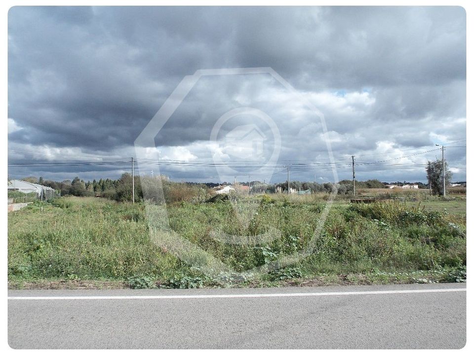 Helårsgrund i Oliveira do Bairro, Aveiro - foto 1