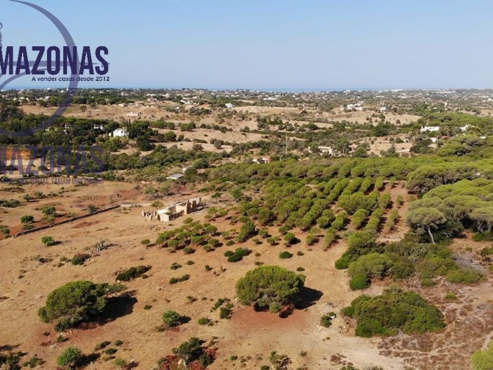 Landejendom i Lagoa, Faro - foto 3