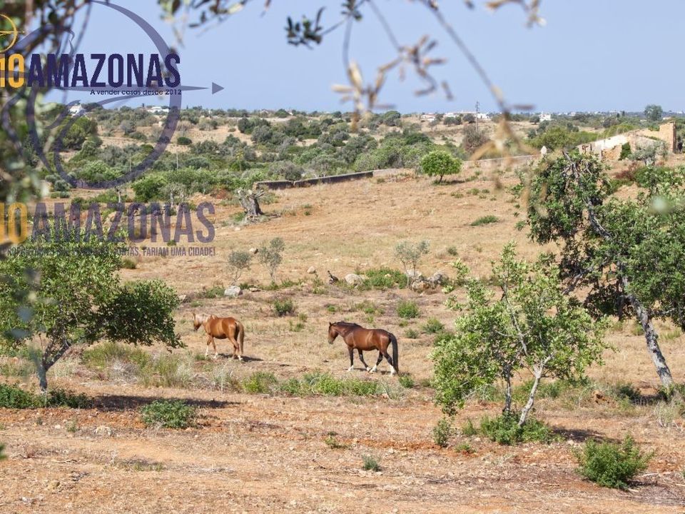 Helårsgrund i Lagoa, Faro - foto 3