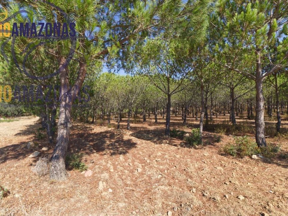 Helårsgrund i Lagoa, Faro - foto 4