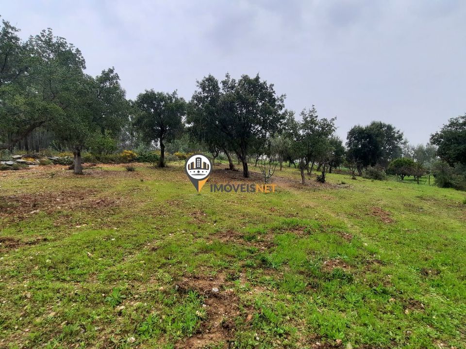 Tomt i Vila Velha de Rodao, Castelo Branco - bilde 5