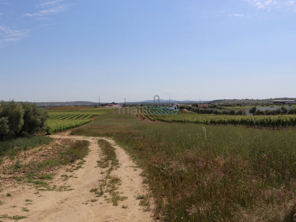 Helårsgrund i Reguengos de Monsaraz, Evora - foto 2