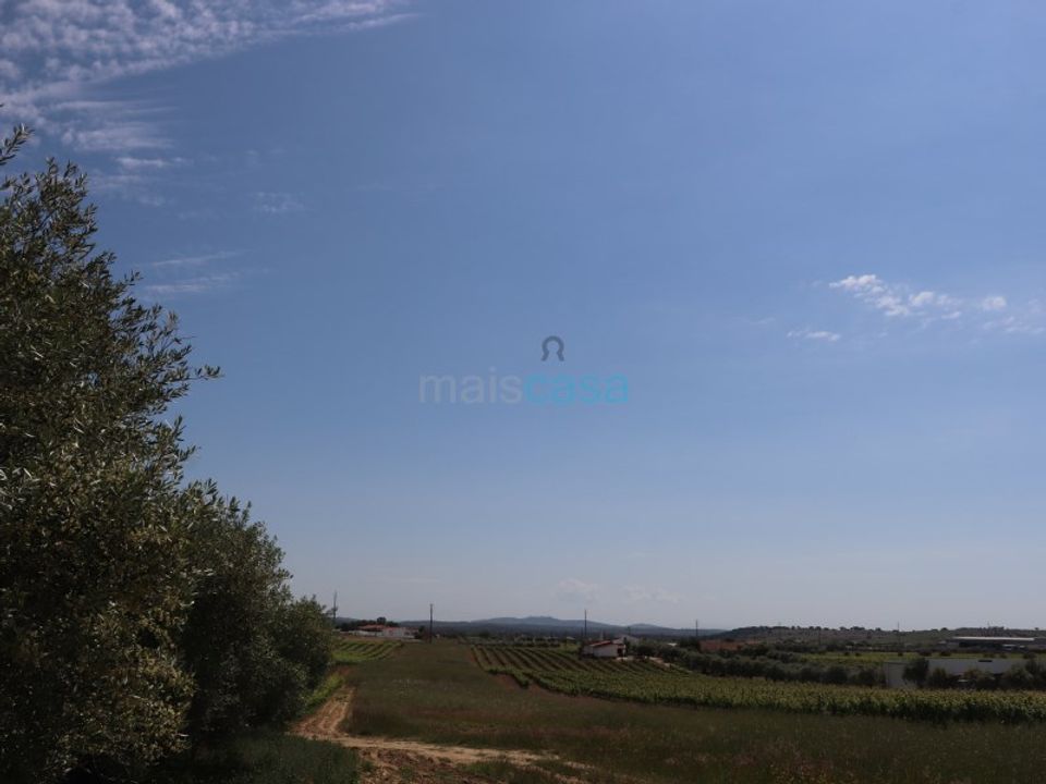 Helårsgrund i Reguengos de Monsaraz, Evora - foto 4