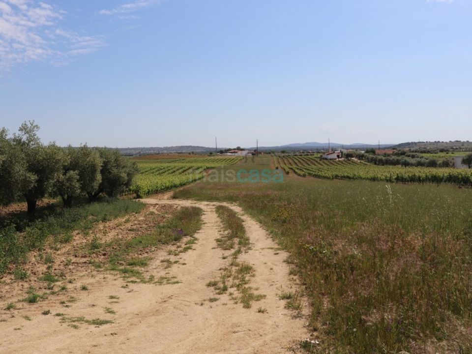 Helårsgrund i Reguengos de Monsaraz, Evora - foto 5