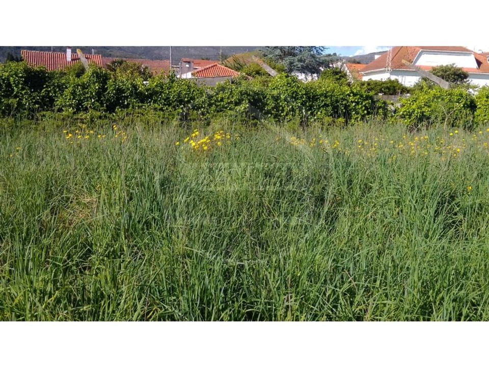 Helårsgrund i Vila Praia de Ancora, Viana do Castelo - foto 2