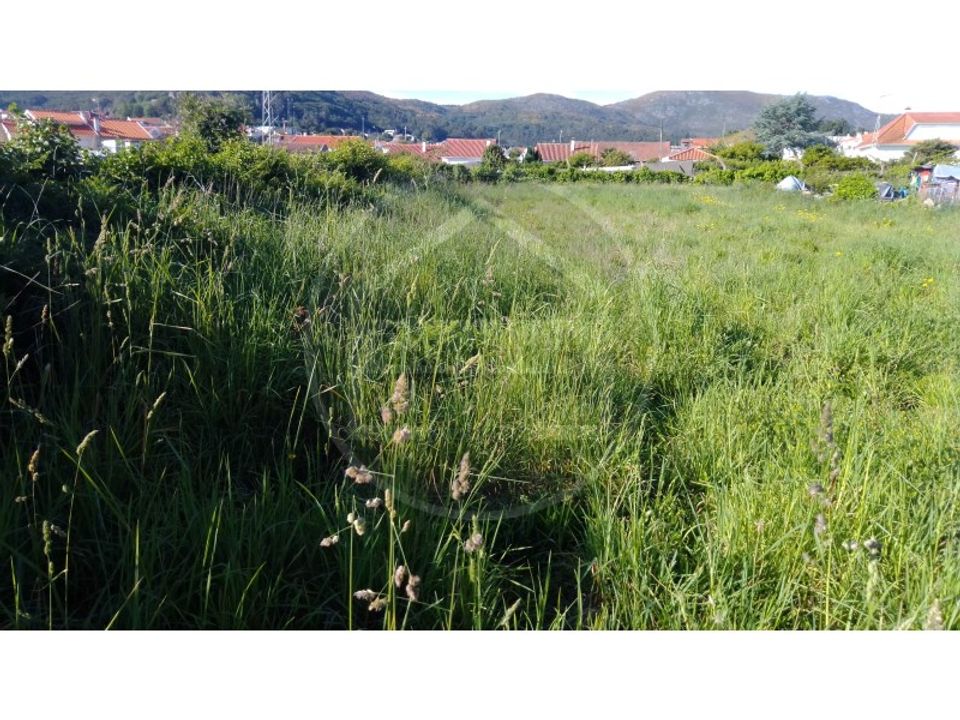 Helårsgrund i Vila Praia de Ancora, Viana do Castelo - foto 3