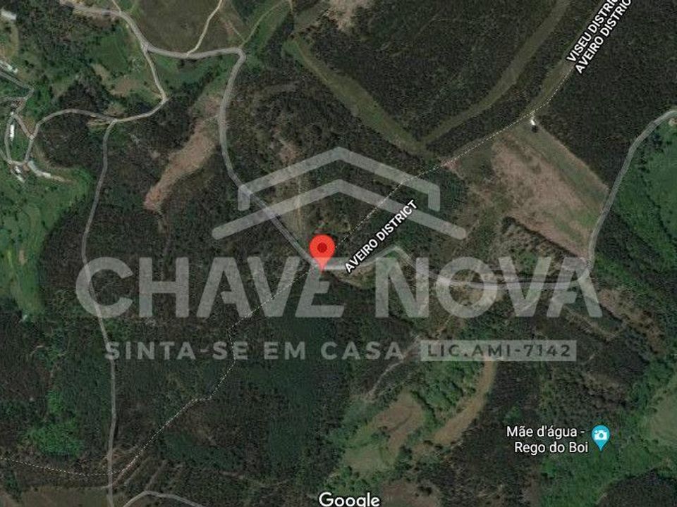 Helårsgrund i Cinfaes, Viseu - foto 4