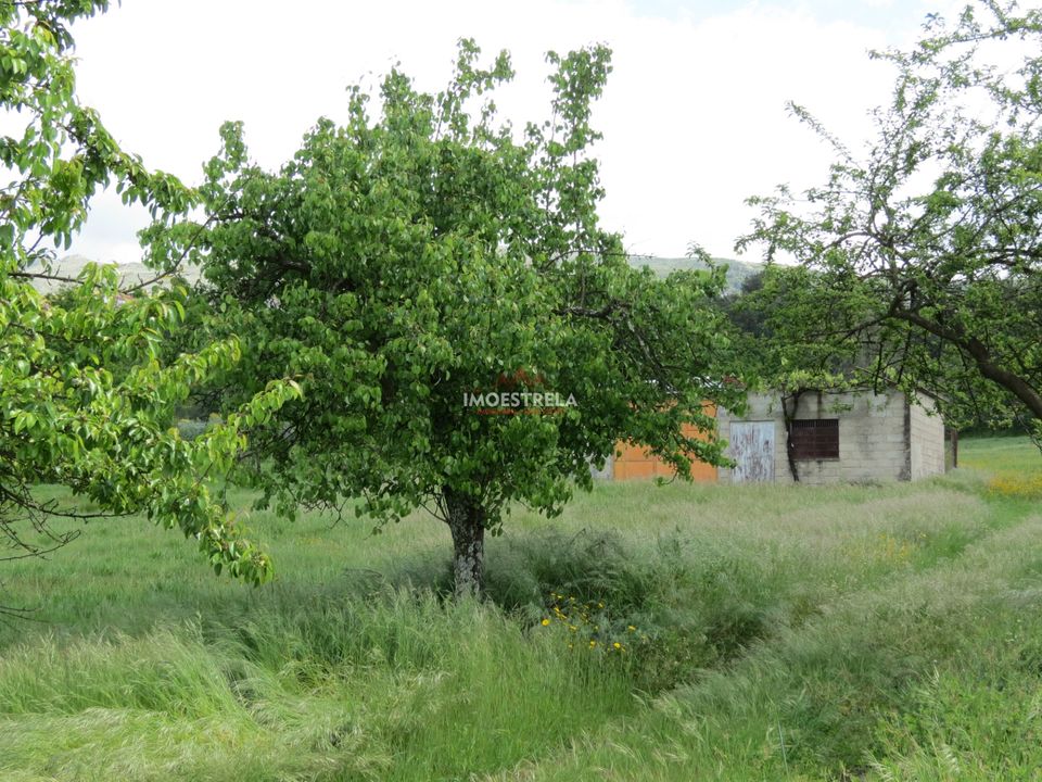 Helårsgrund i Seia, Guarda - foto 5