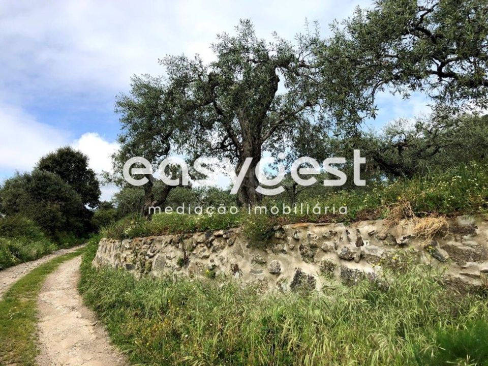 Helårsgrund i Vale de Prazeres e Mata da Rainha, Castelo Branco - foto 1