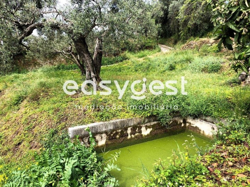 Helårsgrund i Vale de Prazeres e Mata da Rainha, Castelo Branco - foto 4