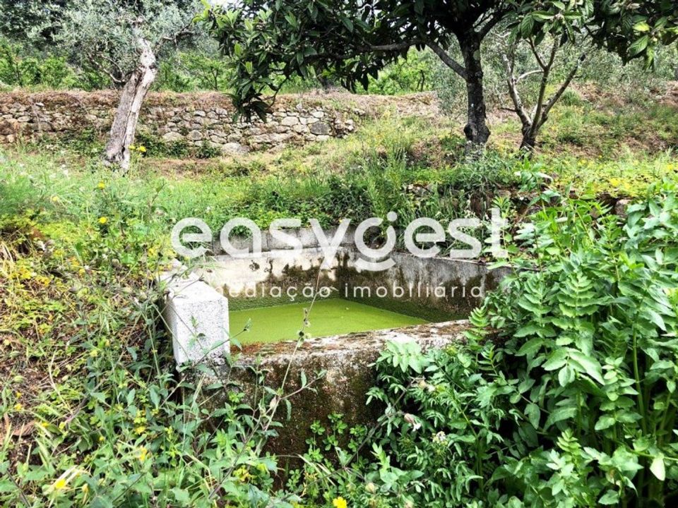 Helårsgrund i Vale de Prazeres e Mata da Rainha, Castelo Branco - foto 5
