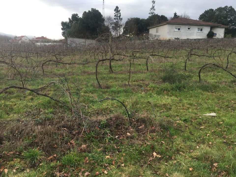 Helårsgrund i Moncao, Viana do Castelo - foto 3
