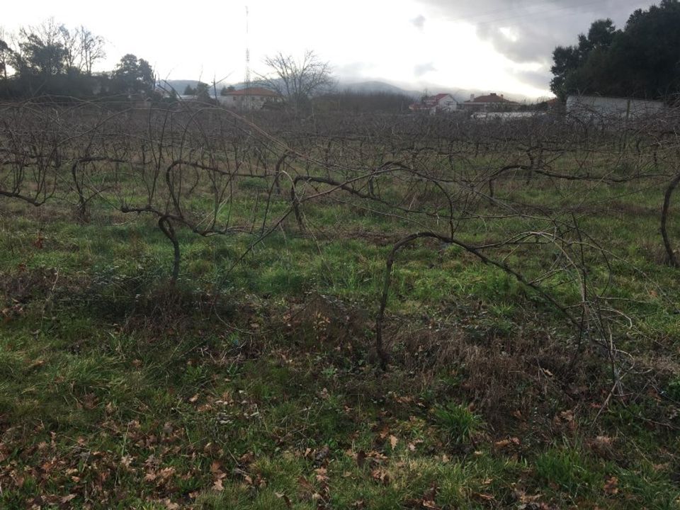 Helårsgrund i Moncao, Viana do Castelo - foto 4